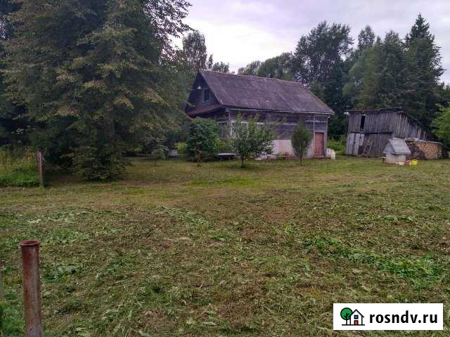 Дом 48 м² на участке 30 сот. на продажу в Эммауссе Эммаусс - изображение 1