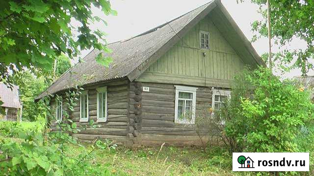 Дом 49 м² на участке 15 сот. на продажу на Острове Остров - изображение 1