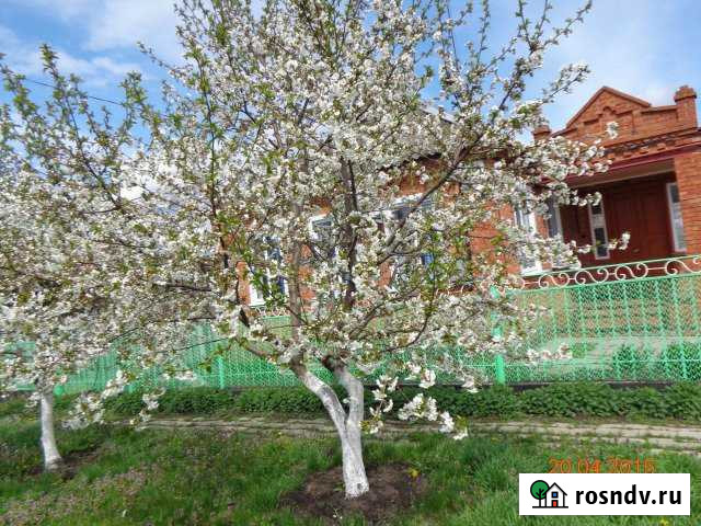 Дом 80 м² на участке 15 сот. на продажу в Медведовской Медведовская - изображение 1