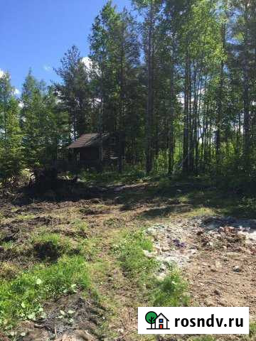 Участок СНТ, ДНП 9 сот. на продажу в Сосновом Бору Сосновый Бор - изображение 1