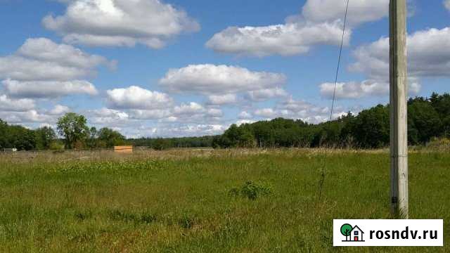 Участок ИЖС 12 сот. на продажу в Елизаветино Елизаветино - изображение 1