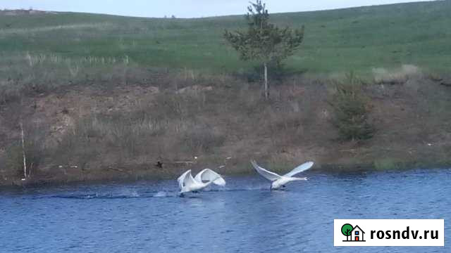 Участок СНТ, ДНП 1117 сот. на продажу в Межозерном Межозерный - изображение 1