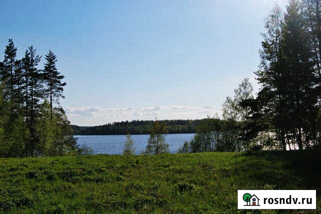 Участок СНТ, ДНП 118 сот. на продажу в Лахденпохье Лахденпохья - изображение 1