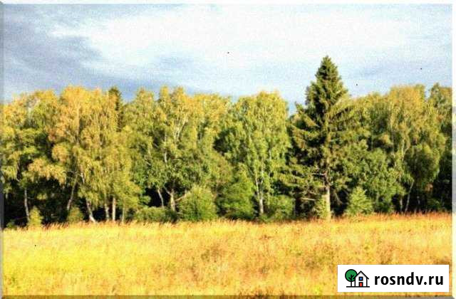 Участок ИЖС 15 сот. на продажу в Пролетарском Московской области Пролетарский - изображение 1