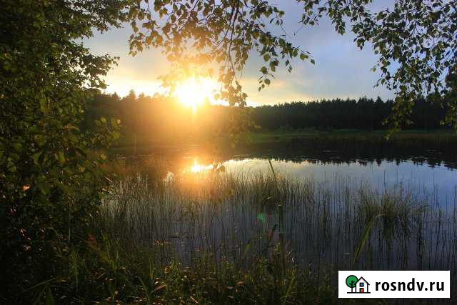 Участок СНТ, ДНП 6 сот. на продажу в Новозавидовском Новозавидовский - изображение 1