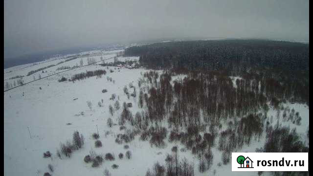 Участок СНТ, ДНП 245 сот. на продажу в Дружной Горке Дружная Горка - изображение 1