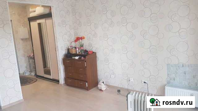 Квартира-студия, 28 м², 5/16 эт. в аренду на длительный срок во Всеволожске Всеволожск - изображение 1