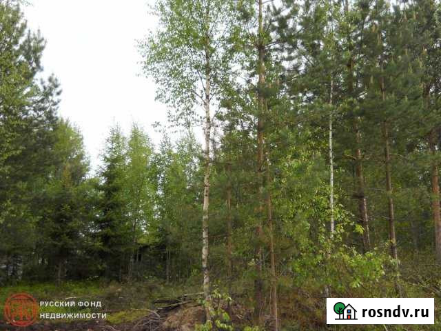 Участок ИЖС 18 сот. на продажу в Гарболово Гарболово - изображение 1