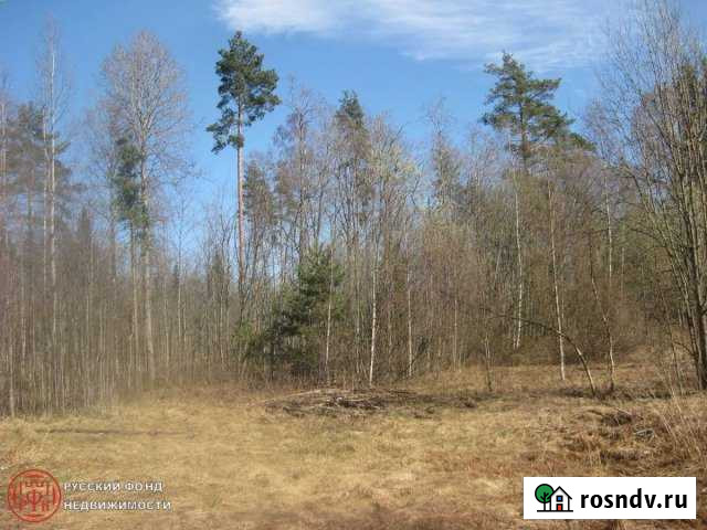 Участок СНТ, ДНП 301 сот. на продажу в Гарболово Гарболово - изображение 1