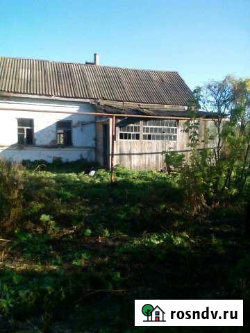 Дом 50 м² на участке 60 сот. на продажу в Петровском Тамбовской области Петровское - изображение 1