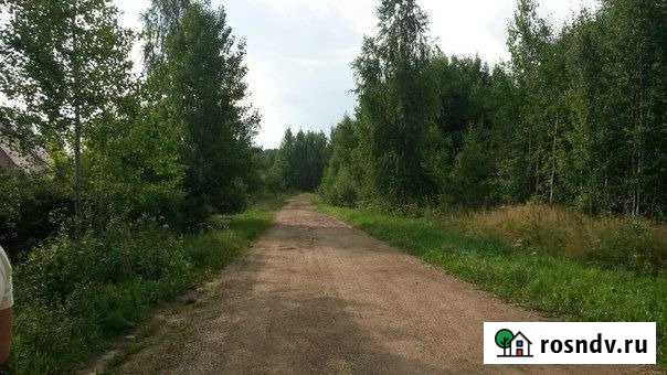 Участок СНТ, ДНП 15 сот. на продажу в Молочном Вологодской области Молочное - изображение 1