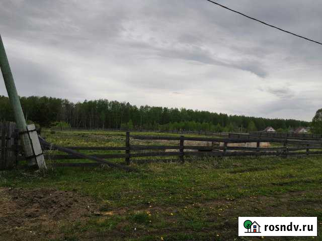 Участок ИЖС 30 сот. на продажу в Асино Асино - изображение 1