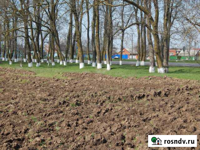 Участок СНТ, ДНП 150 сот. на продажу в Темрюке Темрюк - изображение 1