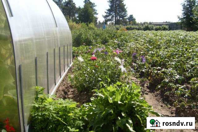 Участок ИЖС 10 сот. на продажу в Пойковском Пойковский - изображение 1