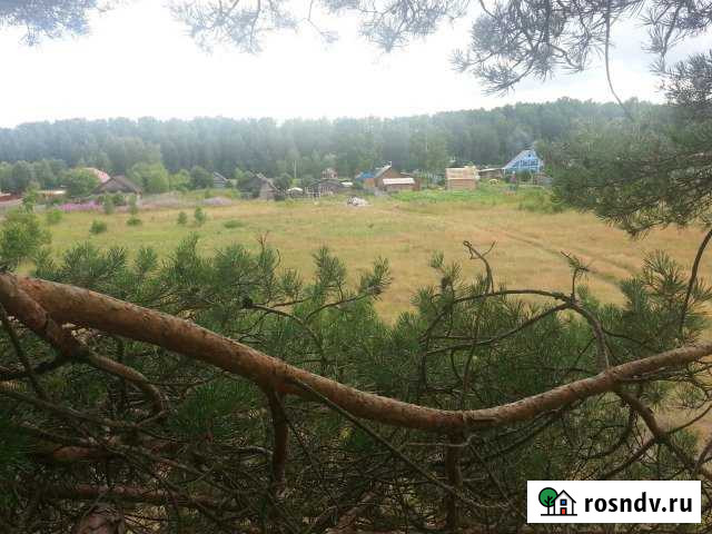 Участок ИЖС 42 сот. на продажу в Ржеве Ржев - изображение 1