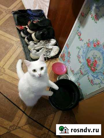 4-комнатная квартира, 92 м², 3/3 эт. на продажу в Черняховске Черняховск - изображение 1