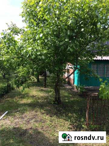 Дача 40 м² на участке 30 сот. на продажу в Рамони Рамонь - изображение 1