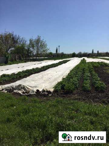 Участок СНТ, ДНП 42 сот. на продажу в Гиагинской Гиагинская - изображение 1