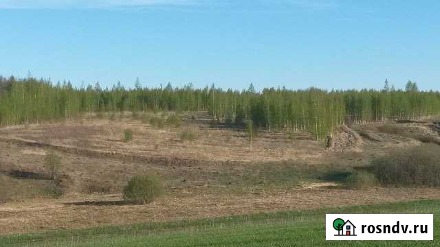 Участок СНТ, ДНП 550 сот. на продажу в Лукоянове Лукоянов - изображение 1