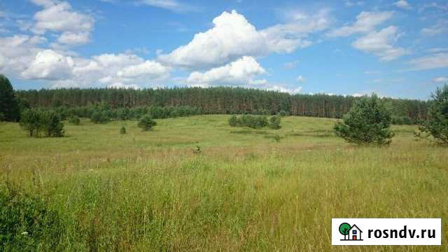 Участок СНТ, ДНП 3387 сот. на продажу в Вязниках Вязники - изображение 1