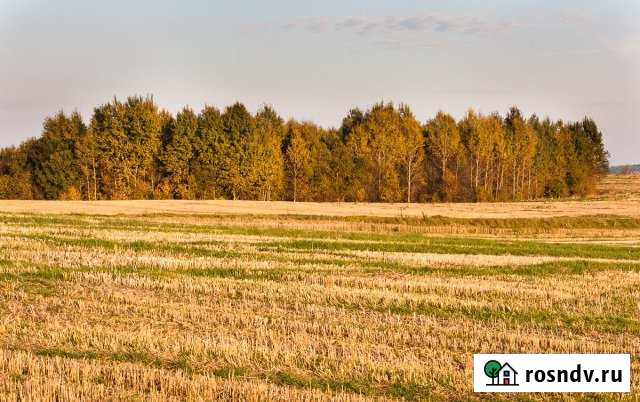 Участок СНТ, ДНП 13 сот. на продажу в Вологде Вологда - изображение 1