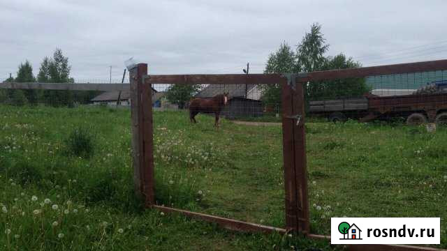 Дом 72 м² на участке 38 сот. в аренду на длительный срок в Рамешках Рамешки - изображение 1