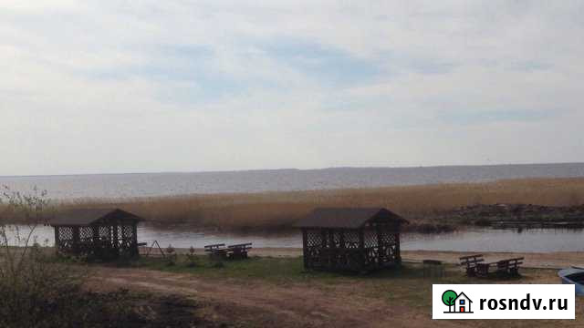 Дом 200 м² на участке 100 сот. в аренду посуточно в Пскове Псков - изображение 1