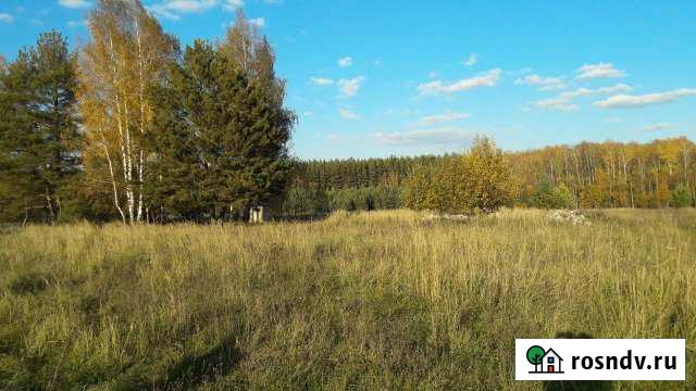 Участок промназначения 50 сот. на продажу в Касимове Касимов - изображение 1