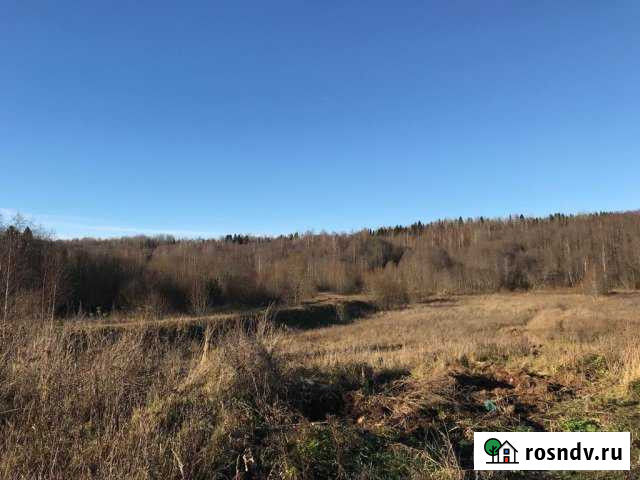 Участок СНТ, ДНП 50 сот. на продажу в Малой Вишере Малая Вишера - изображение 1