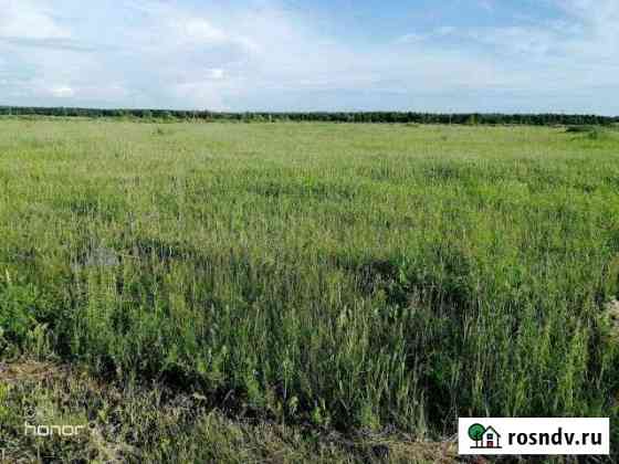Участок СНТ, ДНП 340 сот. на продажу в Каскаре Каскара