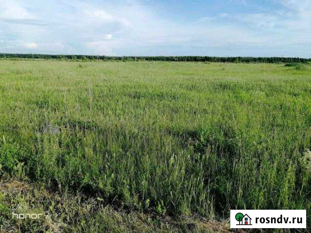 Участок СНТ, ДНП 340 сот. на продажу в Каскаре Каскара - изображение 1