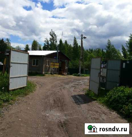 Участок СНТ, ДНП 6 сот. на продажу в Куровском Куровское - изображение 1