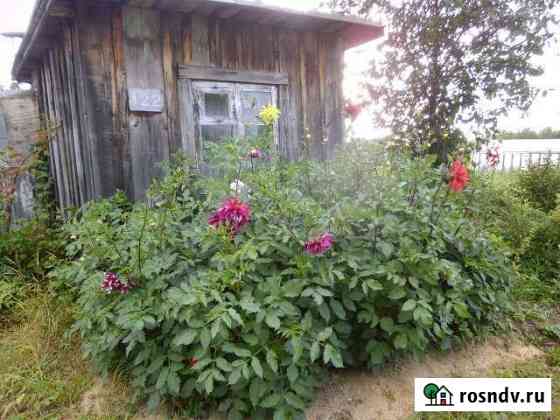 Участок СНТ, ДНП 6 сот. на продажу в Чусовом Чусовой
