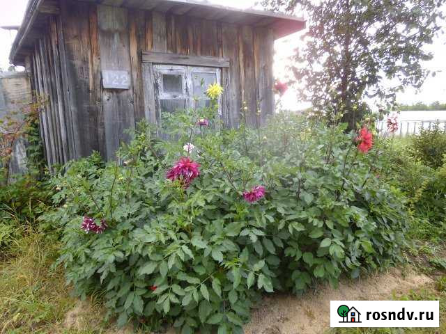 Участок СНТ, ДНП 6 сот. на продажу в Чусовом Чусовой - изображение 1