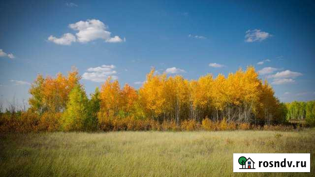 Участок ИЖС 10 сот. на продажу в Заречном Свердловской области Заречный - изображение 1