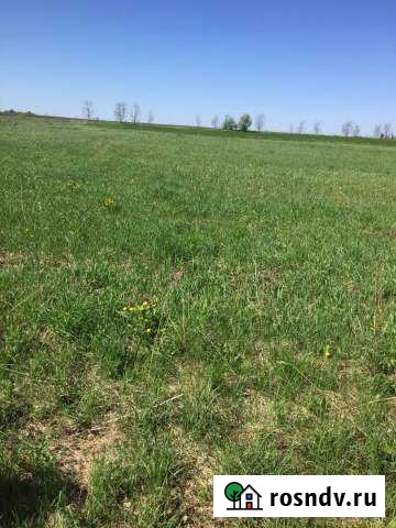 Участок ИЖС 40 сот. на продажу в Чаплыгине Чаплыгин - изображение 1