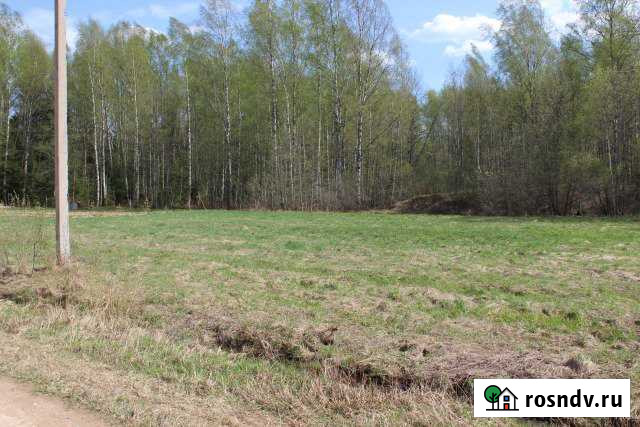 Участок СНТ, ДНП 15 сот. на продажу в Зубцове Зубцов - изображение 1