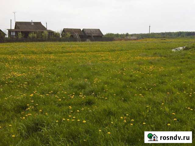 Участок ИЖС 32 сот. на продажу в Новодугино Новодугино - изображение 1