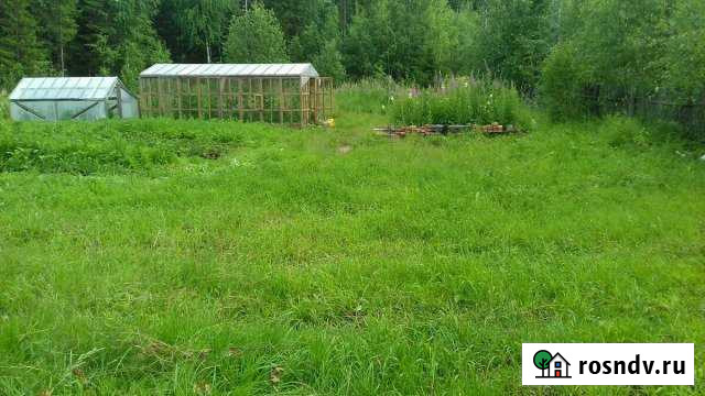 Участок СНТ, ДНП 12 сот. на продажу в Выльгорте Выльгорт - изображение 1