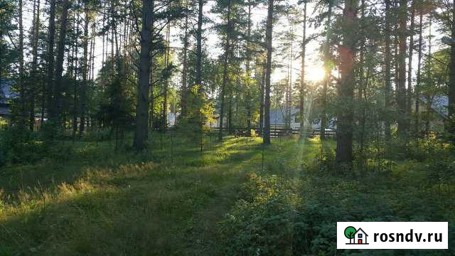 Участок СНТ, ДНП 11 сот. на продажу в Отрадном Ленинградской области Отрадное - изображение 1