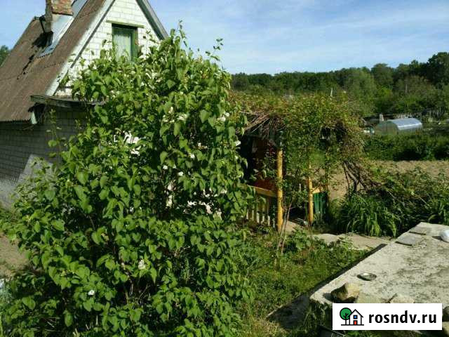 Дача 40 м² на участке 10 сот. на продажу в Ладушкине Ладушкин - изображение 1