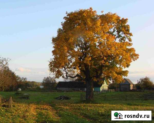 Дом 50 м² на участке 150 сот. на продажу в Новоржеве Новоржев - изображение 1