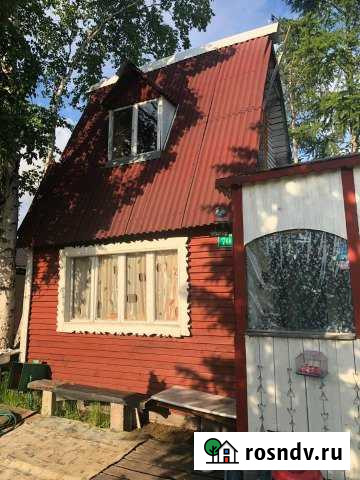 Участок СНТ, ДНП 6 сот. на продажу в Елизово Елизово - изображение 1