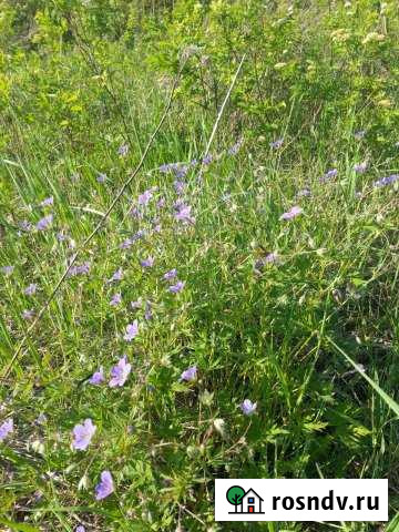 Участок СНТ, ДНП 60 сот. на продажу в Братске Братск - изображение 1