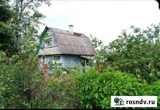 Дача 50 м² на участке 6 сот. на продажу в Кировске Ленинградской области Кировск - изображение 1