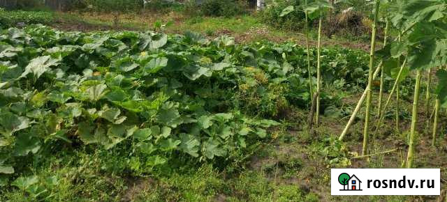 Участок ИЖС 40 сот. на продажу в Калтане Калтан - изображение 1