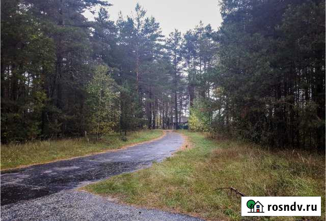 Участок промназначения 200 сот. на продажу в Суздале Суздаль - изображение 1