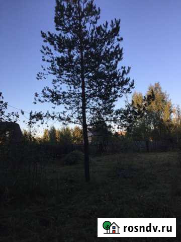 Участок СНТ, ДНП 6 сот. на продажу в Куровском Куровское - изображение 1