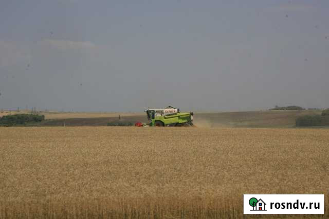 Участок СНТ, ДНП 540 сот. на продажу в Джалиле Джалиль - изображение 1