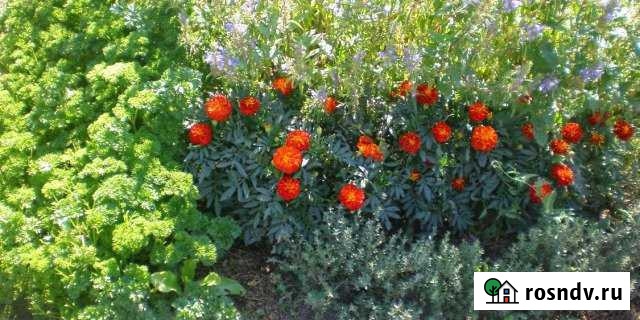 Дом 40 м² на участке 15 сот. на продажу в Мельниково Мельниково - изображение 1